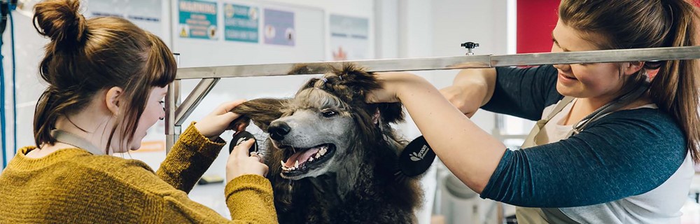 Agriculture, Horticulture and Animal Care